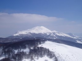 Milpiribiletik ikusita