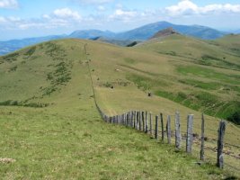 Okoro aldetik ikusita