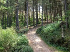 Una vez dejado atr?s el Bastelarra nos dirigimos al Eneabe.