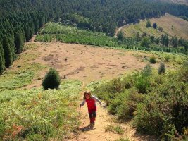 Sin embargo poco a poco se va remontando...