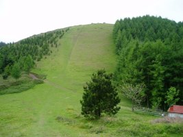 Iparraldetik ikusita