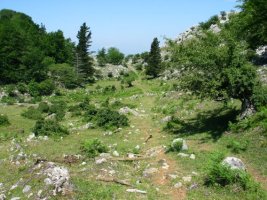 Iparraldetik inguratzen duen bidea