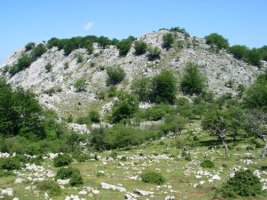 HEko isurialdea, Leungana aldetik