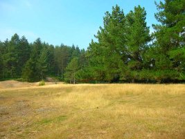 Al poco alcanzamos una zona de campas.