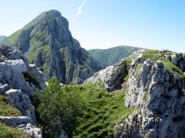 Tontorra, Alluitz hondoan duela