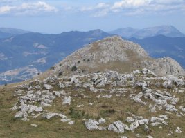 Ausokoi dolmena eta Ausa atzekaldean