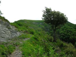 Detr?s la cima de Beratza.