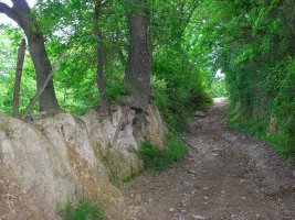 Ascendemos por pista.