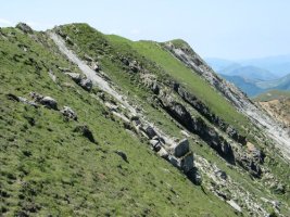 Gainaldeko gandorra Etik