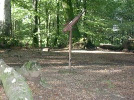 CIMA DEL MONTE BURBONA 15-9-05