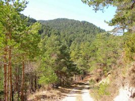 Por ultimo dejamos atr?s la cima de Costoria.