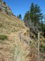 Tontorra iparraldetik saihesten duen bidea