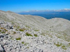 Poco a poco alcanzamos el alto de Ezkaurre.