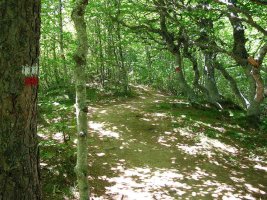 El ascenso se encuentra balizado por entero.