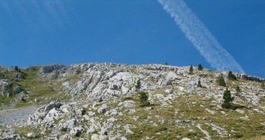 Basotik urtendakoan topako dogun malda