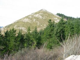 Tontorra Etik, pinudiaz inguratuta