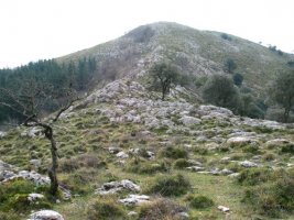 Mendebaldeko lepotik