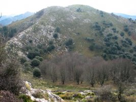 Mendebaldeko isurialdea