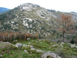 Ekialdeko isurialdea