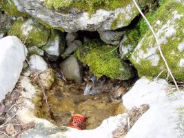 Iturria Gaintzatik igotzen den bidean