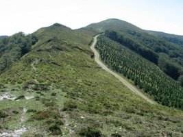 Iparraldeko hegitik ikusita