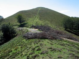 Tontorra Iko lepotik ikusita