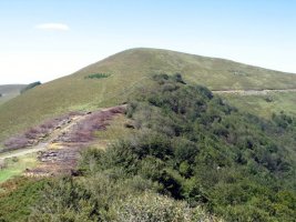 Olegi aldetik ikusita