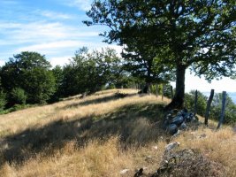 HMko bizkarreko pasarte bat