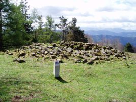 Aizpuruko Zabaleko trikuharria