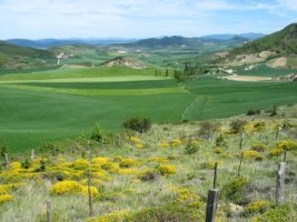 Elortzibar aldeko paisaia