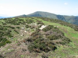 Gainaldean larrea eta txillarra