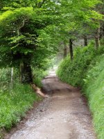 Usartzatik Kalamuara bidean