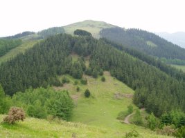 Garagoiti eta Kalamua Akondiatik ikusita