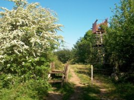 Uxotegi eta pasabidea, Larten bidean. Elorria da arbola.