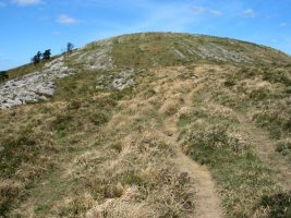 Gainaldeko bideak larre zaharrean barrena