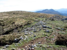 Bi gainen arteko lepoa