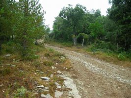 Ahora hacia la izquierda a por la cima...?Ojo con los mastines!