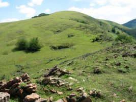 Larrakarte Zagua aldetik ikusita