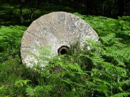 Errotarria Kinto Realeko sarreran