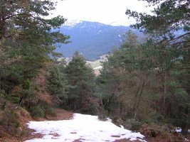 Por el portillo de Guinea.