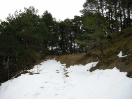 Comienzo del sendero.