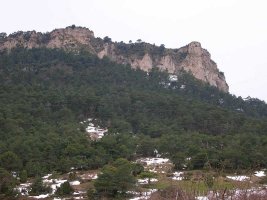 Primer plano de Olvedo.