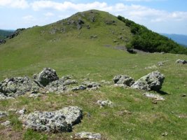 Txardeka, IMko beste tontor bat