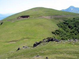 Txardeka aldetik ikusita
