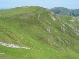 Odeizu aldetik ikusita