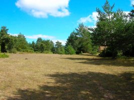 Y ya en breve alcanzamos el collado de Santa Ana.