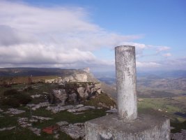 Solaieraren tontorra. Atzean, bedarbide ta tologorri
