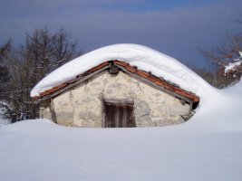 Duruko artzai txabola bat