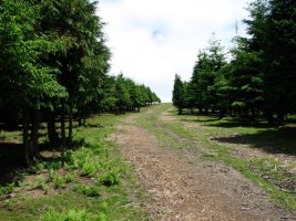 Urkiola aldeko igoera