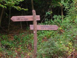 Tomamos el camino de la derecha,sin embargo para volver lo haremos por El Cubo.